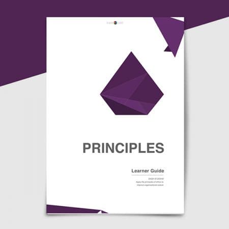 Principles course cover