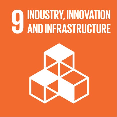 SDG 9: Industry & Innovation