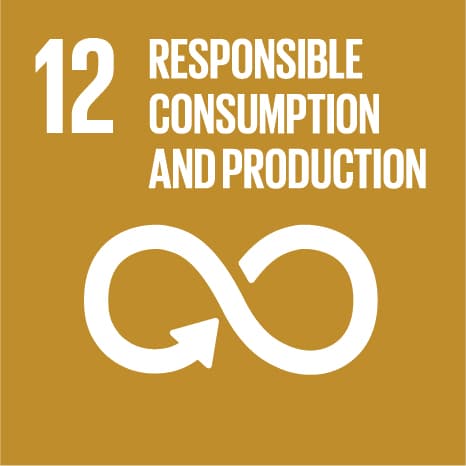 SDG 12: Responsible Consumption