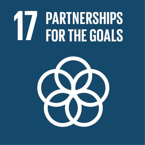 SDG 17: Partnerships